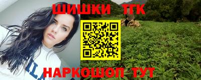 spice Моздок