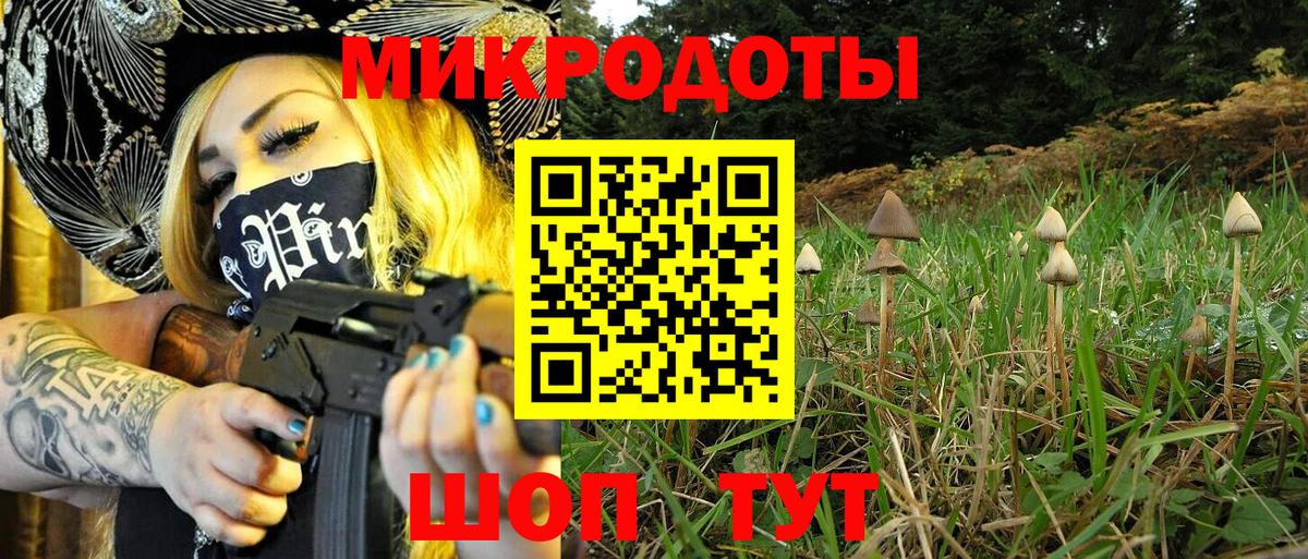 Галлюциногенные грибы Psilocybine cubensis  купить  сайты  Татарск  Вход с VPN  Псилоцибиновые грибы мухоморы 