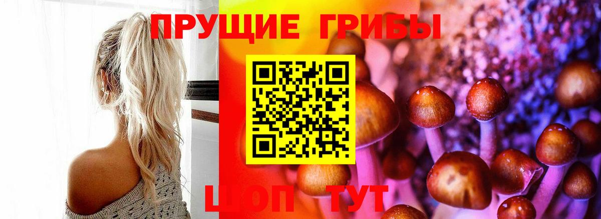 Псилоцибиновые грибы MAGIC MUSHROOMS Татарск